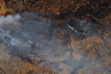 Юбилейный вечер «Дунаевские. Двойной портрет»